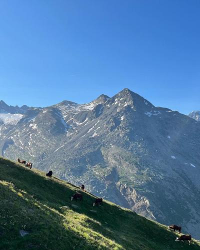 Alpage du Montet